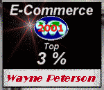 E-Commerce Top 3%